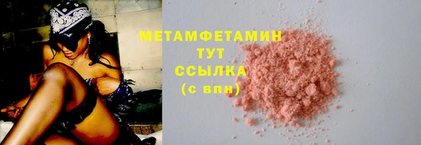 гидра Богородск