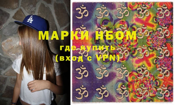 гидра Богородск