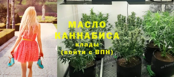 гидра Богородск
