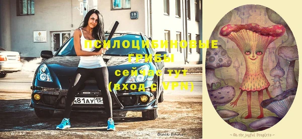гидра Богородск