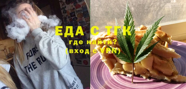 гидра Богородск