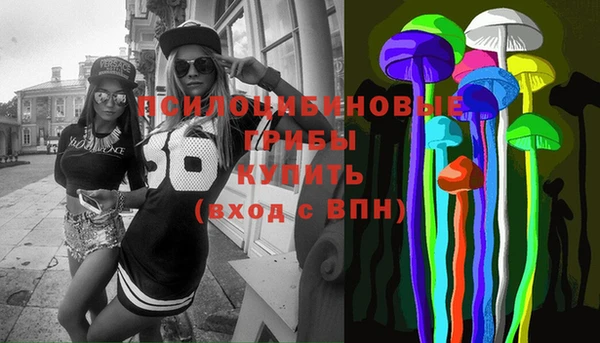 гидра Богородск