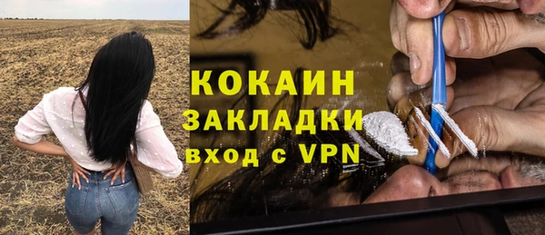гидра Богородск