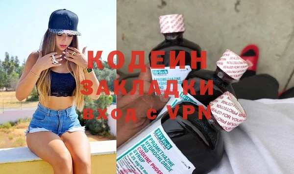 гидра Богородск
