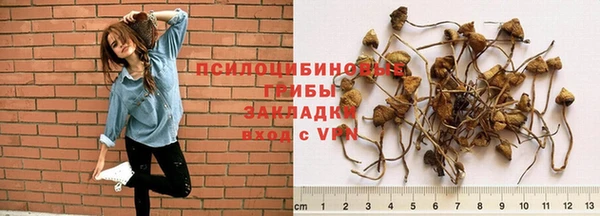 jwh Богданович