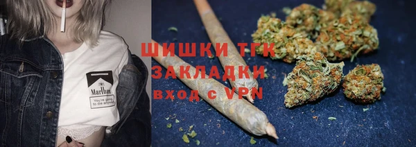 гидра Богородск